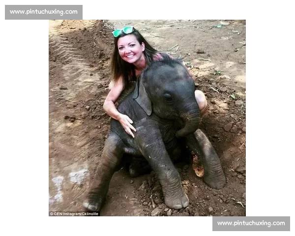 小扑震撼全网！这部生态纪录片让无数人泪目