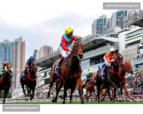 嘉应高升短途扬威 剑指巅峰赛千万奖金